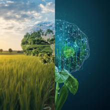 スマート農業レポートイメージ